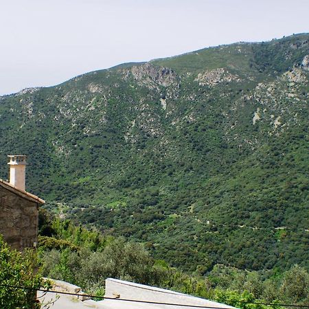 Studio Le Petit Nid D'Amour Meuble Tourisme 3 Etoiles Poggio Santa-Lucia-di-Tallano Eksteriør billede
